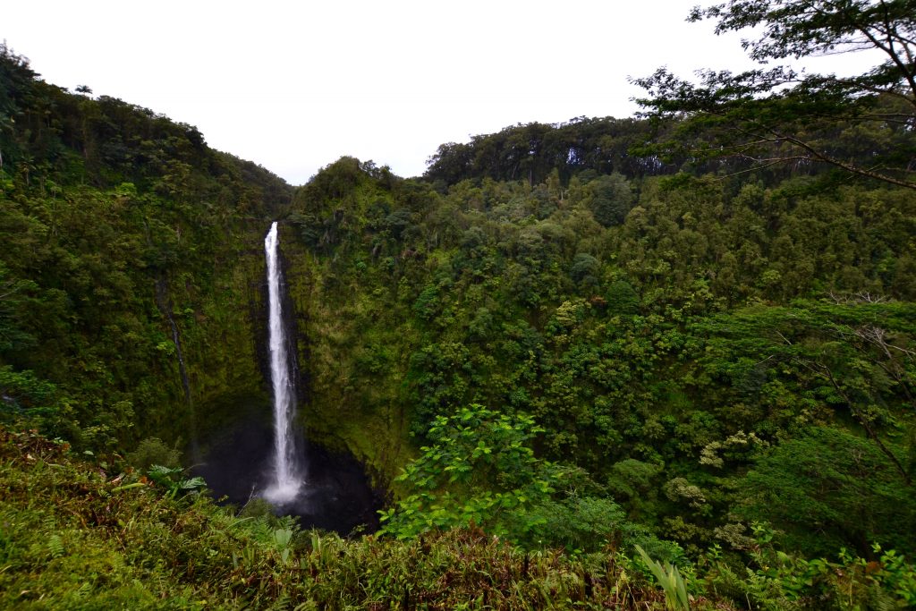 dsc_0264